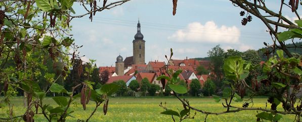 stadtansicht durch hasel